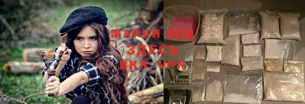 a pvp Новодвинск