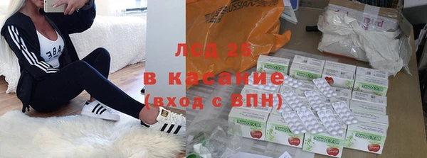 спиды Новозыбков