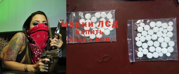 спиды Новозыбков