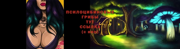 a pvp Новодвинск