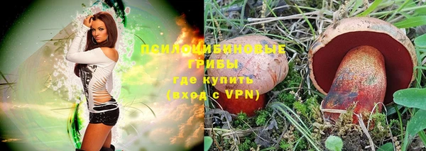 спиды Новозыбков