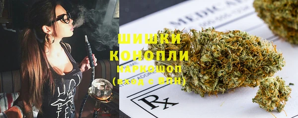 спиды Новозыбков