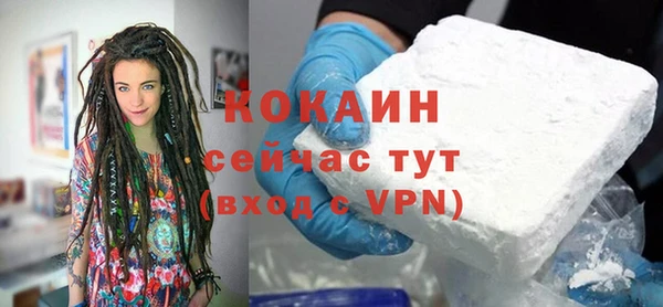 спиды Новозыбков
