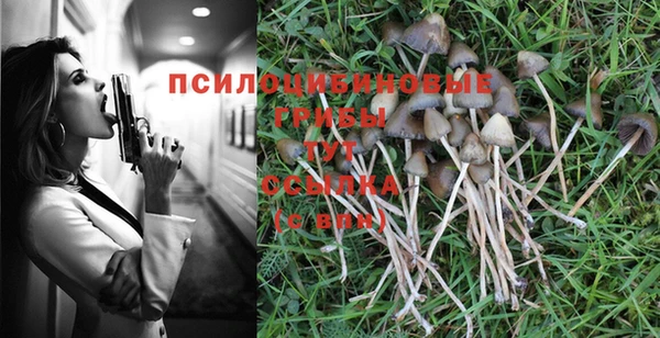 спиды Новозыбков