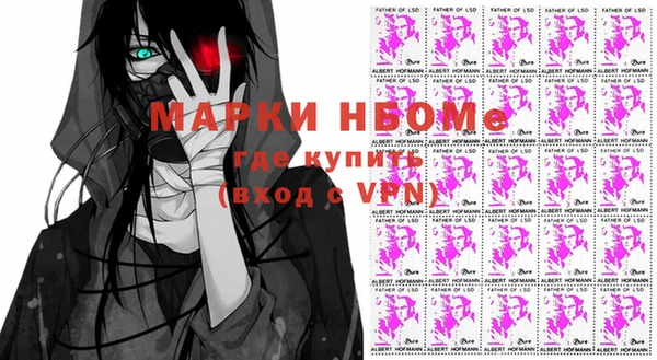 спиды Новозыбков