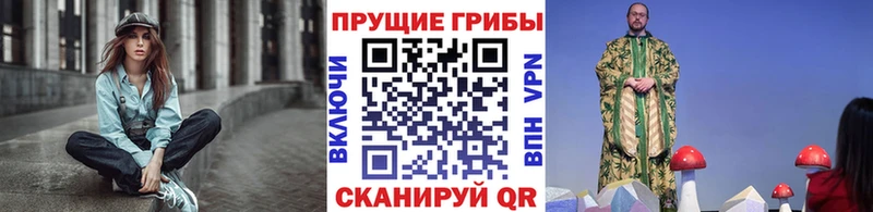 где купить   Советск  Галлюциногенные грибы Magic Shrooms 